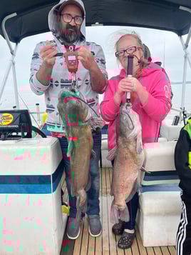 Channel Catfish Sandusky Bay