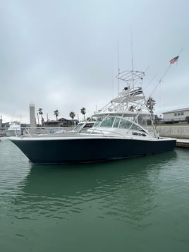 6 hour red snapper trip!