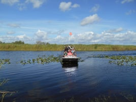 Airboat Eco Tours