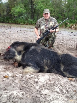 ALLIGATOR/HOG COMBO HUNT