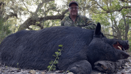 ALLIGATOR/HOG COMBO HUNT