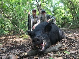 Half day wild boar hunt