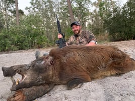 Half Day Wild Boar Hunt