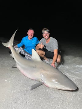 St Pete Surf Fishing