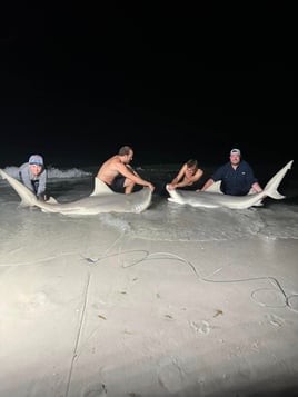 St Pete Surf Fishing