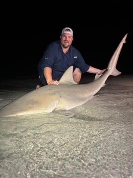 St Pete Surf Fishing