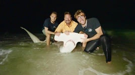 St Pete Surf Fishing