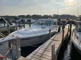 Salmon & Trout Fishing