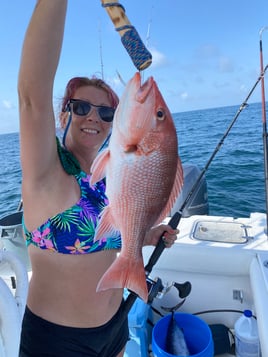 Red Snapper Fishing in Panama City Beach, Florida