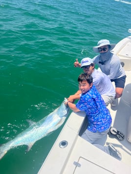 Sportfishing Tarpon Trips