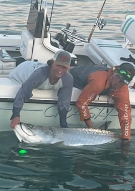 Tarpon Trips Sarasota