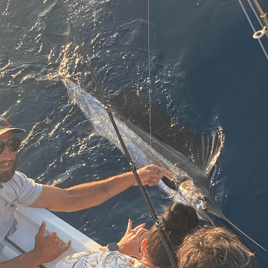 Sailfish Fishing in Pompano Beach, Florida