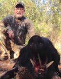 Florida hog hunting