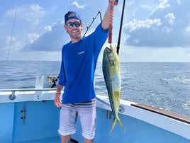 5 Hour Trip (Spring)