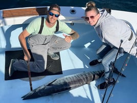 5 Hour Trip (Spring)