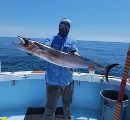 5 Hour Trip (Spring)