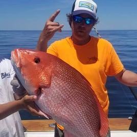Red Snapper Trips