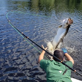 Tarpon and Snook Smash! - 16'