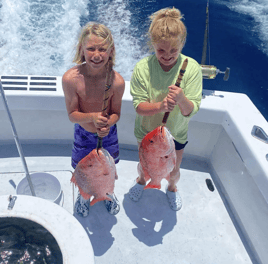 Destin Red Snapper Mania - 10-12 Hrs