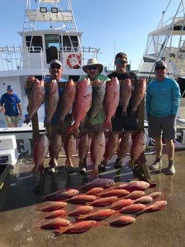 Red Snapper Action - 60’ Bonner