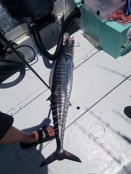 10 hour Extreme Offshore