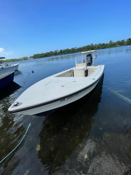 Tarpon And Snook Thriller- 18'