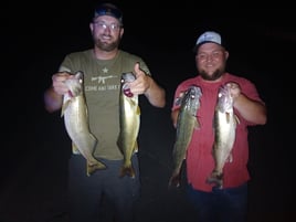 Guided Walleye Trip - Normandy Lake