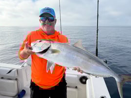 Belleair Bluffs Inshore