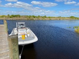 Everglades giging