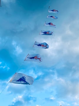 Day or Night Swordfish- 45'