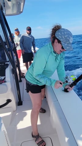 Bottom Fishing Reefs and Wrecks