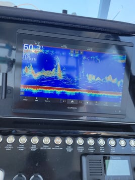 Bottom Fishing Reefs and Wrecks