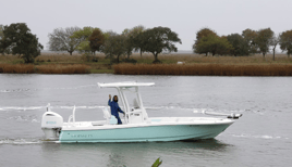 4 Hour PM Galveston Bay & Jetty Fishing
