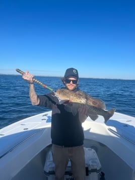 4 Hour Nearshore