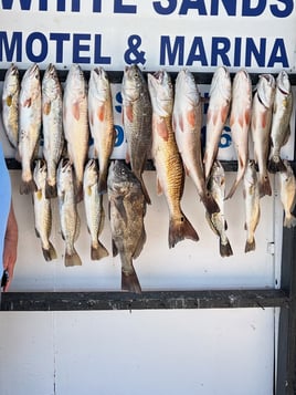 AM and PM Private Bay Fishing Trips