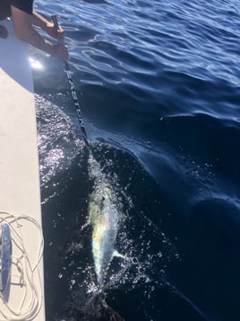 Offshore- 3 minutes from Seacrest