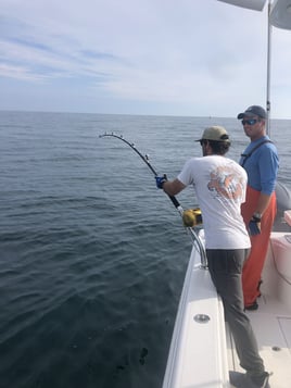 Offshore- 3 minutes from Seacrest