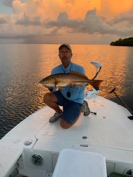 Charlotte Harbor Inshore Fishing