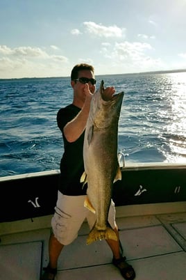 Grand Traverse Bay Salmon & Trout