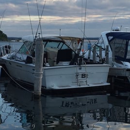 Grand Traverse Bay Salmon & Trout