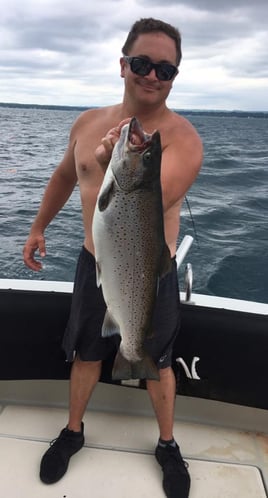 Grand Traverse Bay Salmon And Lake Trout