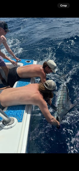 10 Hour Deep Sea Adventure