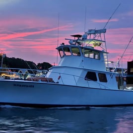 SPRING 64’ Private Fishing Charter