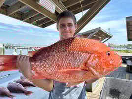 Red Snapper Trip 
