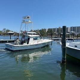 Four Hour Trolling Trip