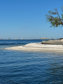 Beach Party Charters Cape Coral/Fort Myers