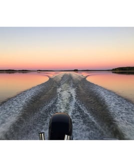 Beach Party Charters Cape Coral/Fort Myers