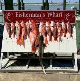 Red Snapper Offshore in Port A