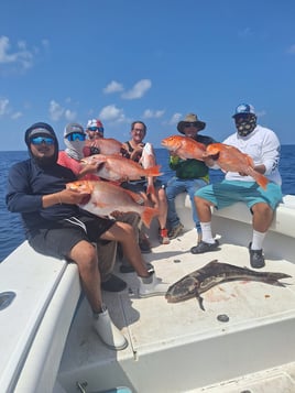 Offshore Attack Trip