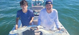 Shark Fishing with Captain Justin